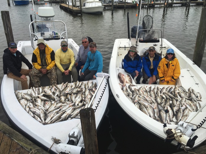 Inshore Venice Fishing Charter Reports